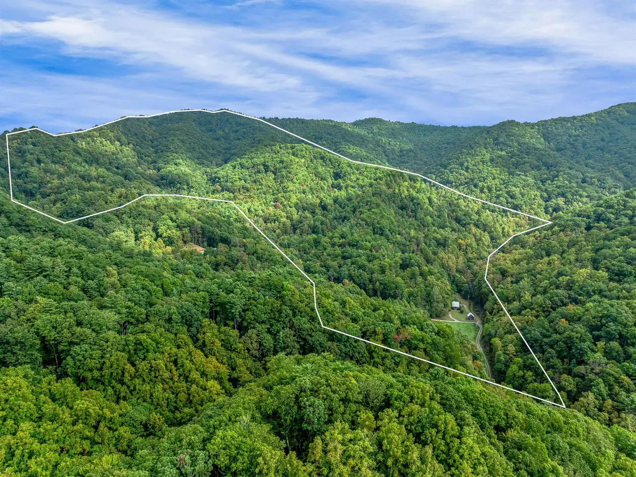 Large Image