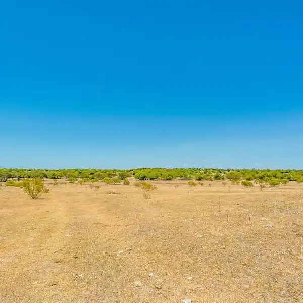 SPRAWLING 1,600-ACRE LAND OPPORTUNITY IN CRESSON