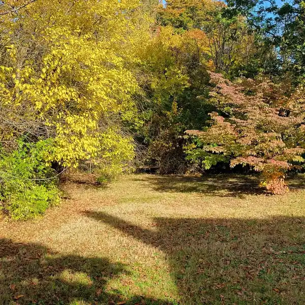 ONE-OF-A-KIND TWO-ACRE PROPERTY