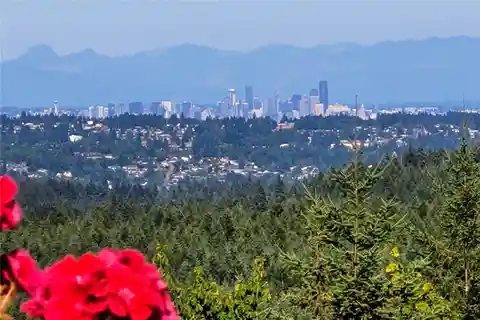 Luxury Home on 2.5 Forested Acres