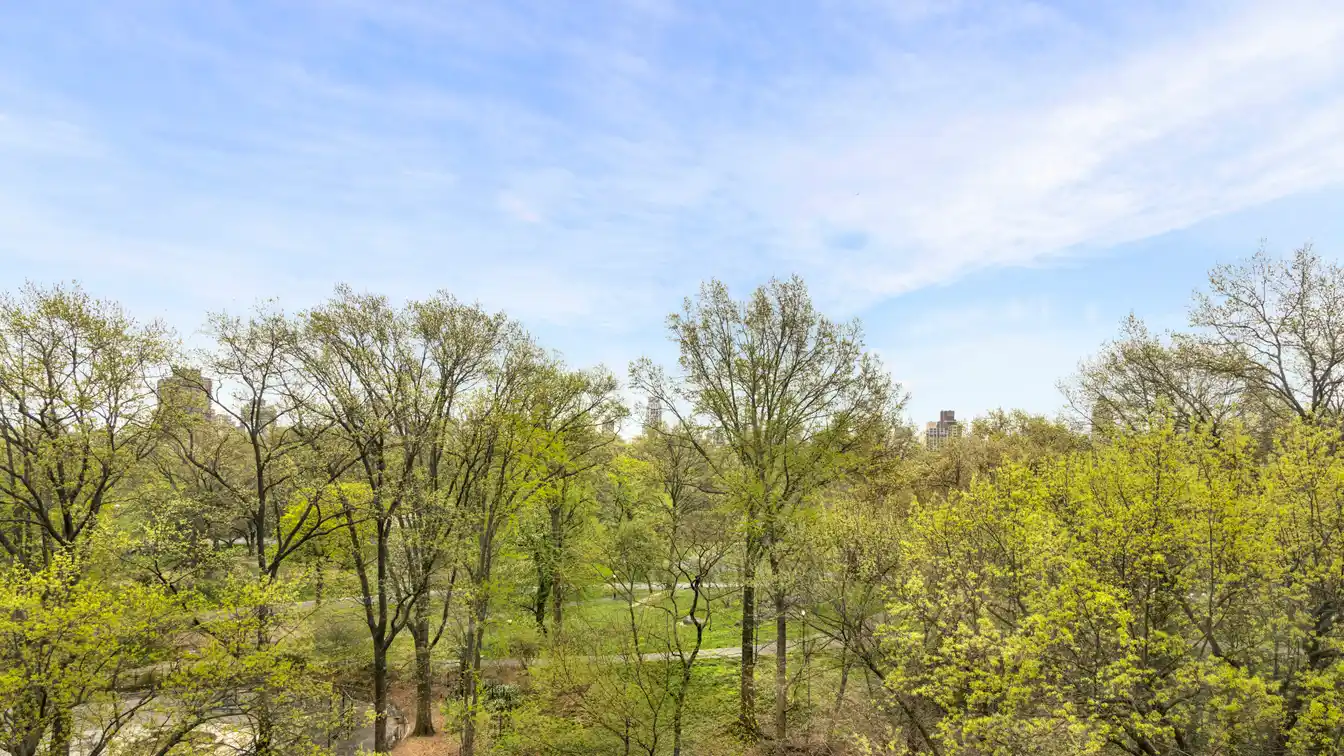Aristocratic Pre-war Eight-room Home with Park Views