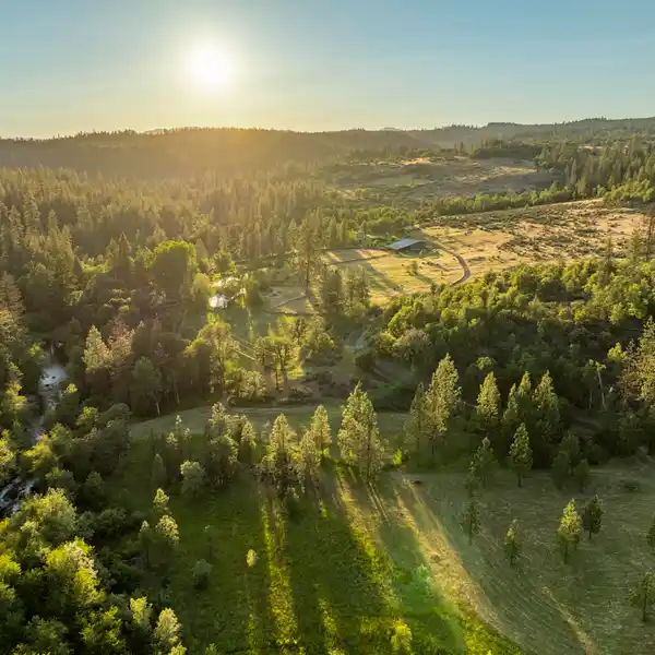 RARE 40 ACRE ESTATE ABOVE BIG BUTTE CREEK