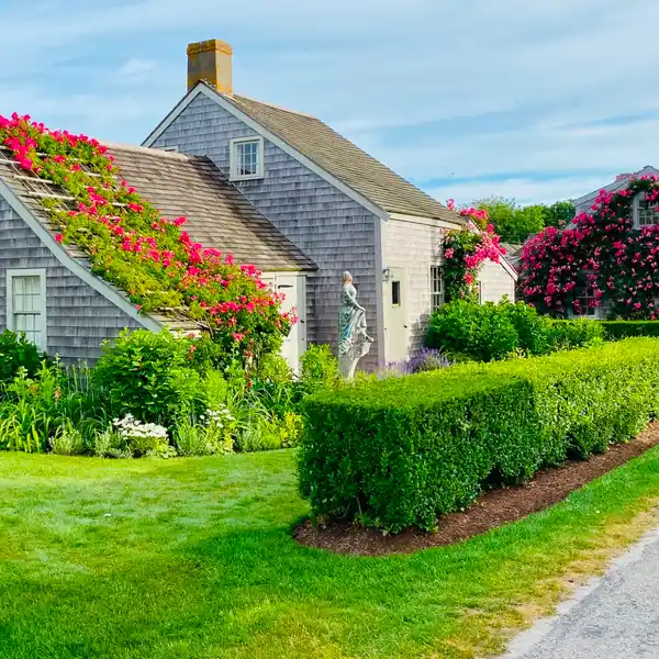 SHANUNGA - ANTIQUE ROSE-COVERED COTTAGE