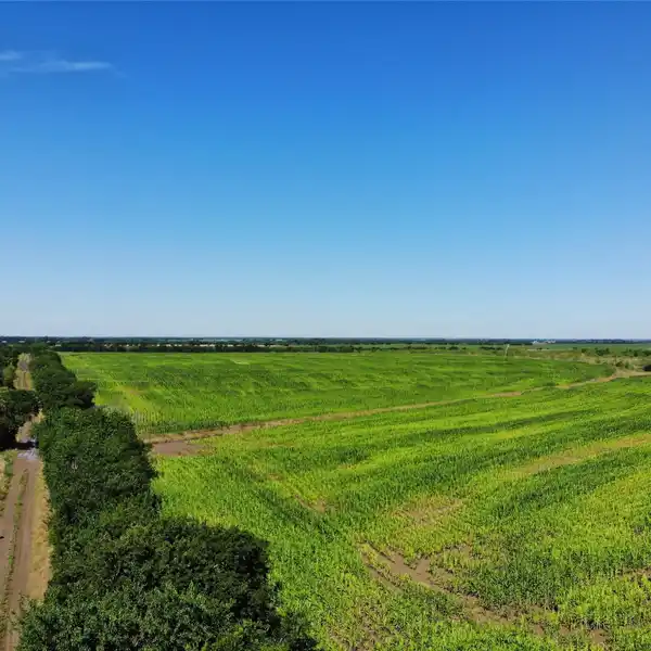 EXPANSIVE AND VERSATILE PROPERTY