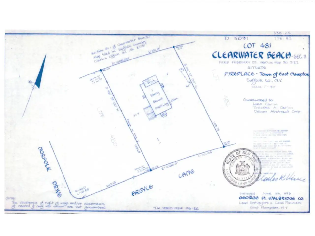Large Image