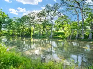 Wonderful 15.23-acre Property