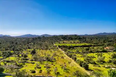 Large Plot with House to Renovate Surrounded by Nature in Artà