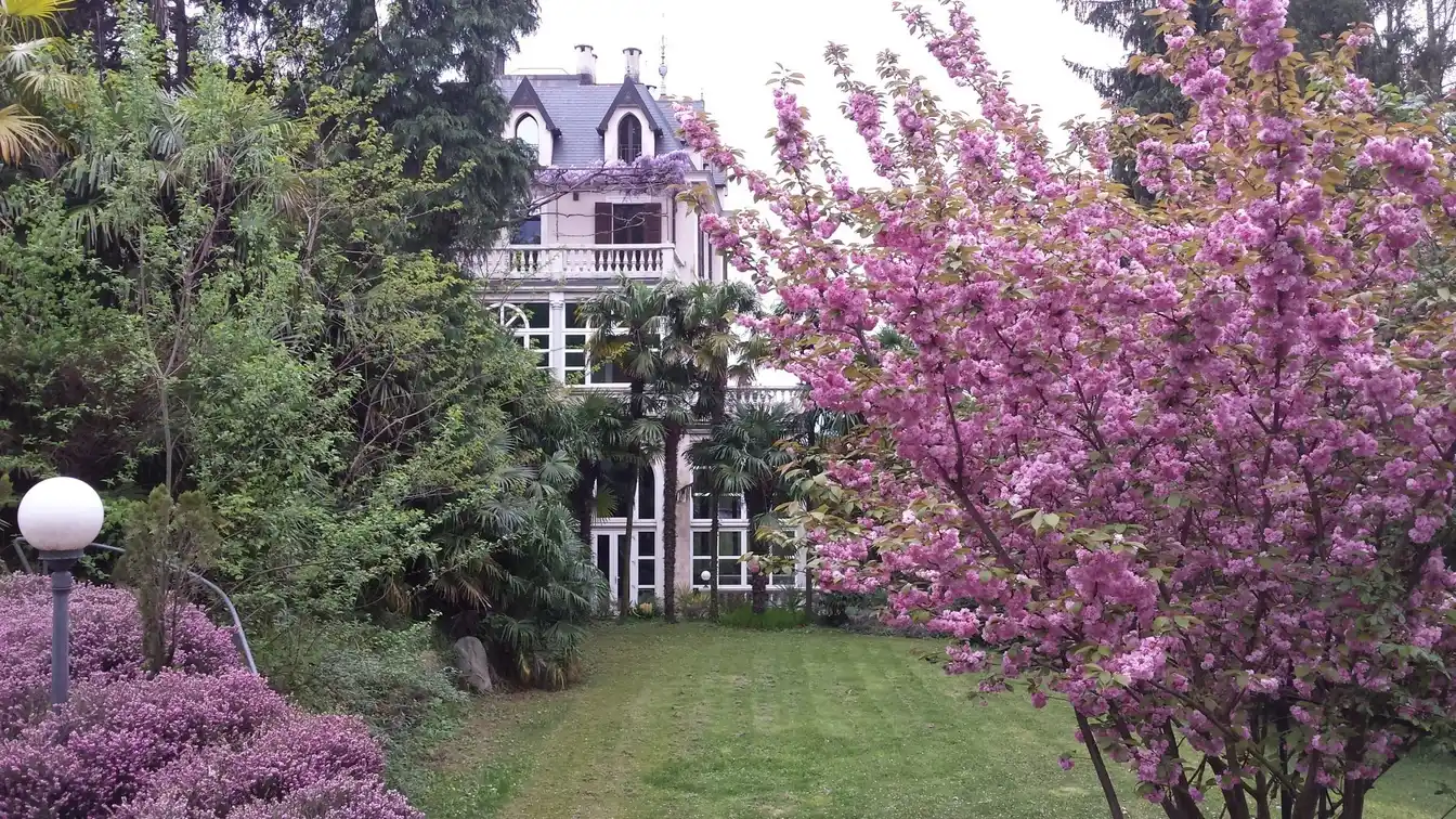 Splendid Fully Renovated Villa