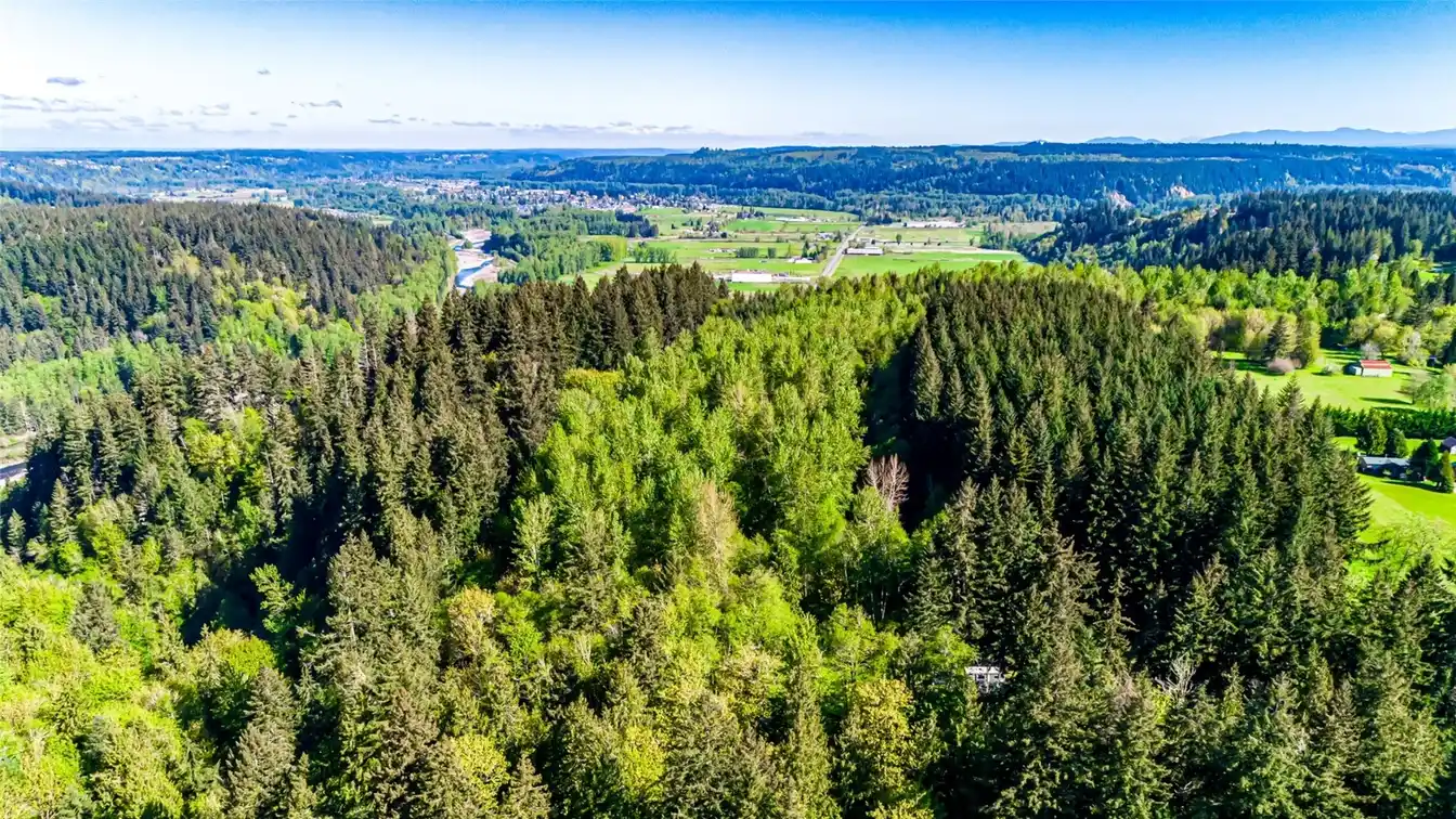 Majestic and Secluded Wooded Acreage