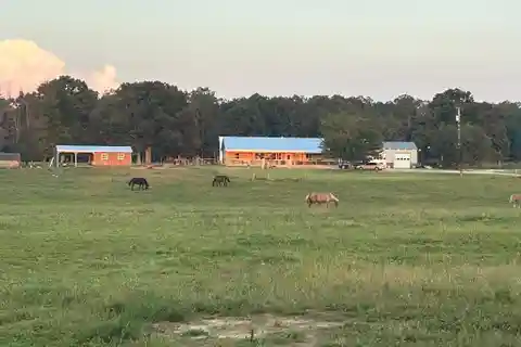 26-Plus-Acre Retreat with a Newly Built Home