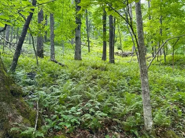 Small Image