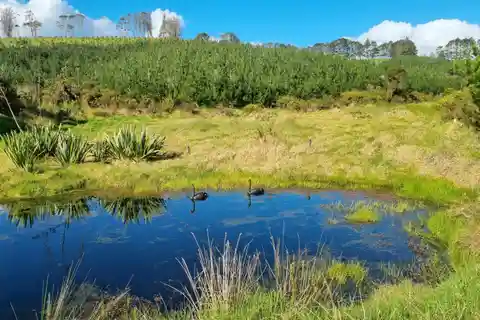 Build Your Dream Home on a Sprawling Property