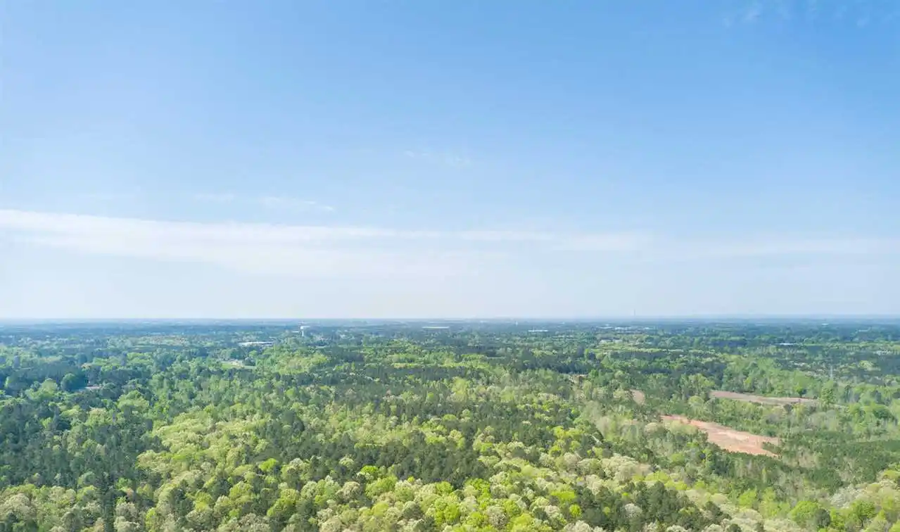 Over 22 Acres with Beautiful Home