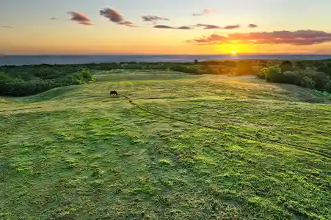 Exceptional 31.96-acre Estate Parcel
