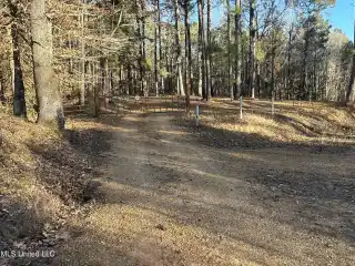 Secluded Sportsman’s Paradise Near Buffalo River