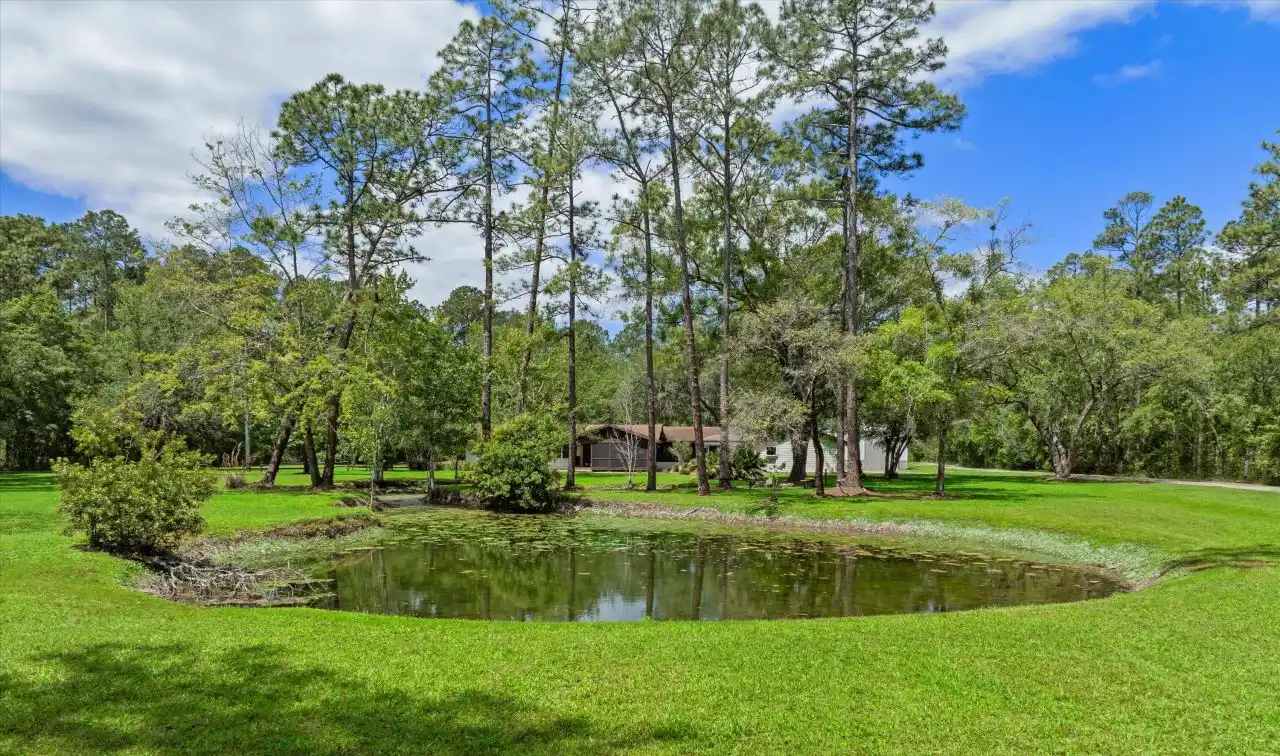 Incredible Homestead Property in Saint Johns