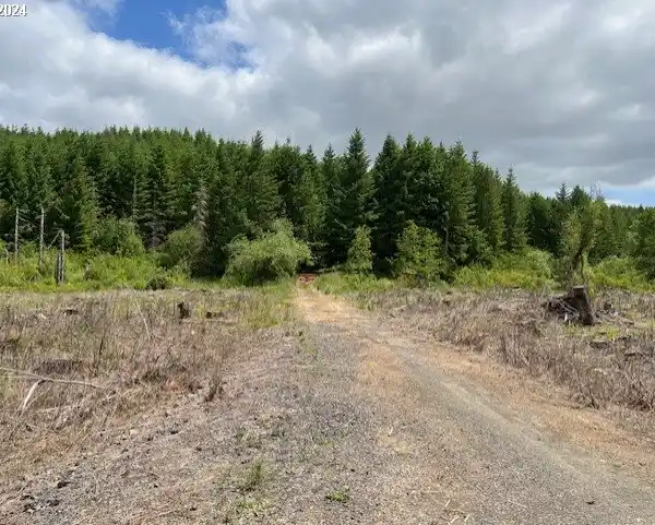 175 ACRES FULL OF POTENTIAL