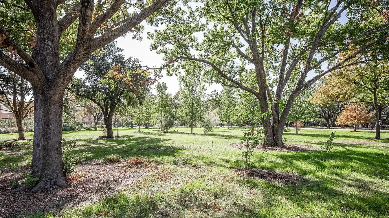 Rare Home Site in a Sought-after Area
