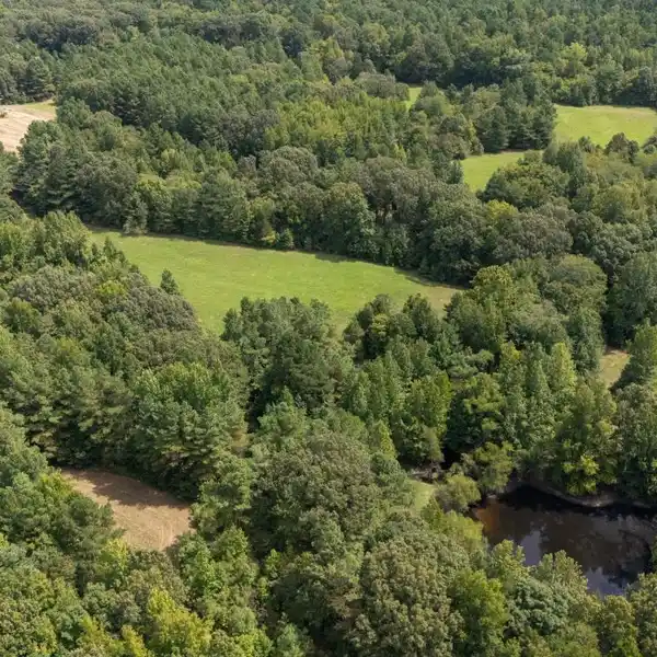 BEAUTIFUL AND VERSATILE EXPANSIVE PROPERTY