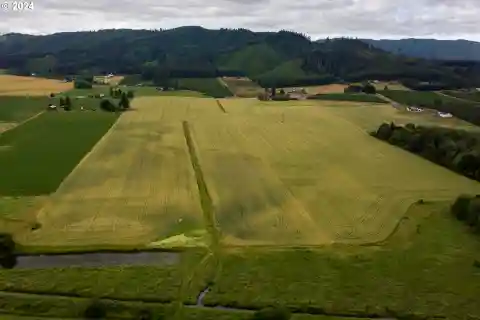 Build a Dream Home on 112 Acres