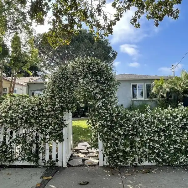 TREE-LINED GEM IN PRIME MAR VISTA LOCATION