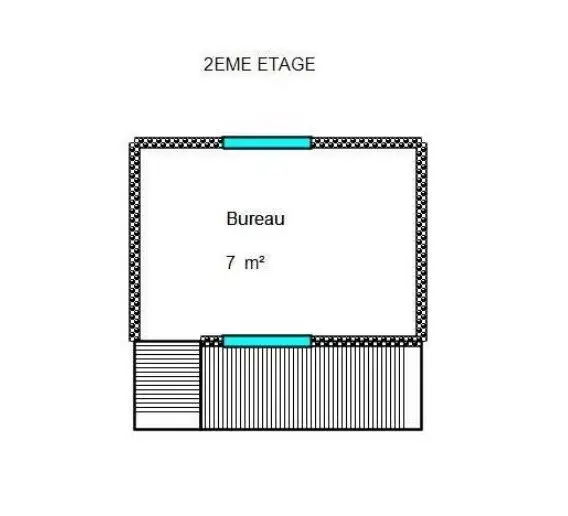 Large Image