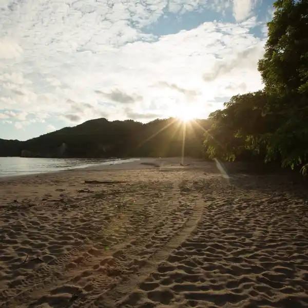 PUNTA SABANA AND MAR SERENA