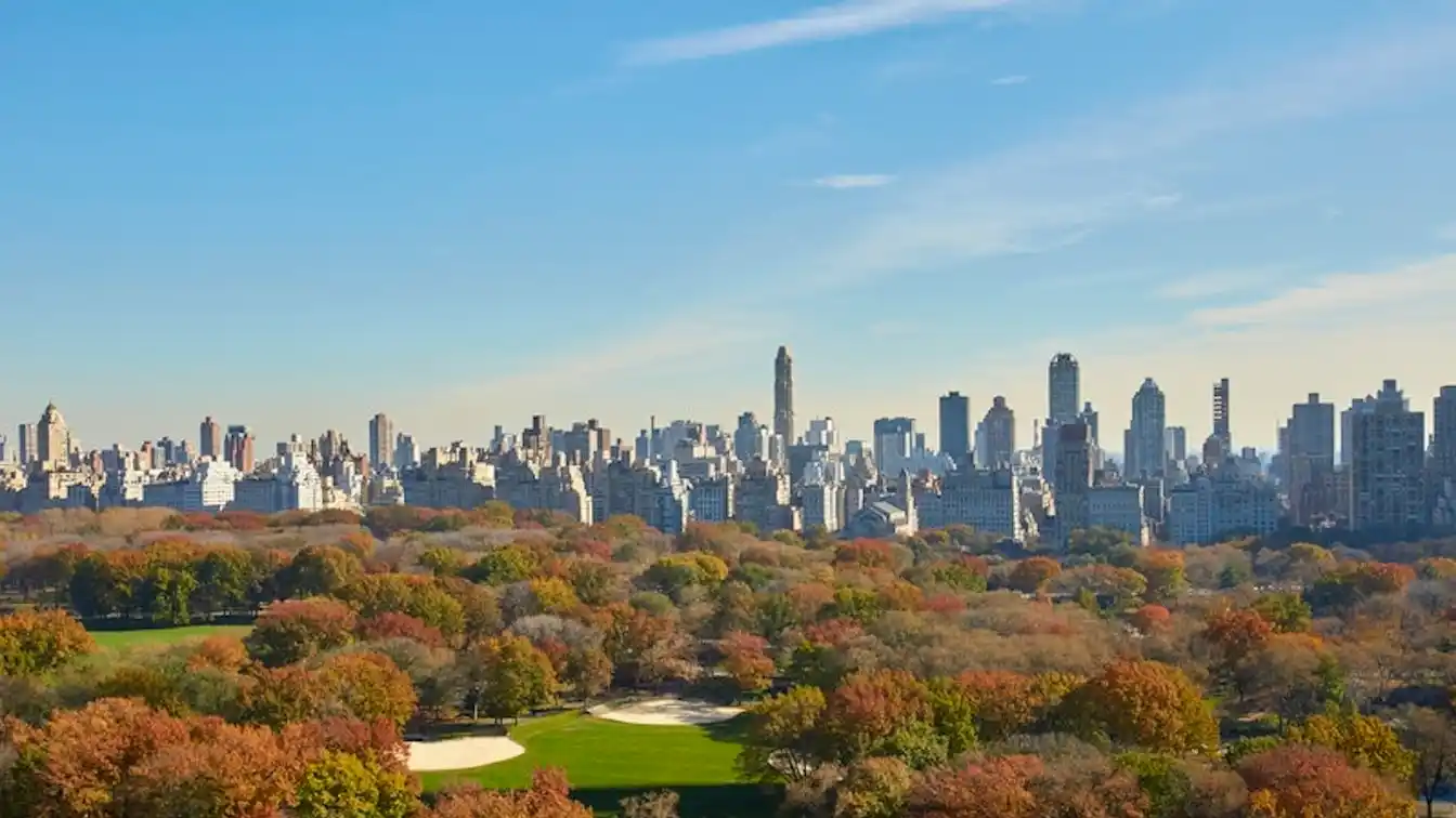 Two Bedroom Prewar Condo with Spectacular Park Views