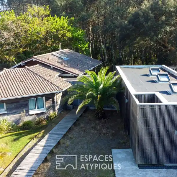 UNIQUE HOME AT THE FOREST'S EDGE
