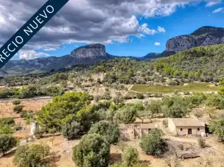 Expansive Property Offering Unique Possibilities