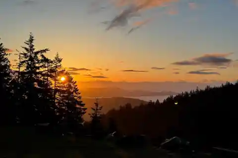 Extraordinary 155-Acre Forested Sanctuary