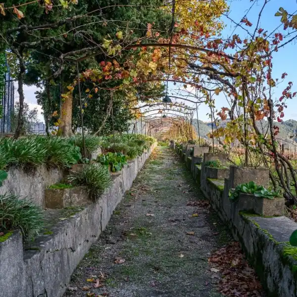 WINE ESTATE IN THE DOURO DEMARCATED REGION