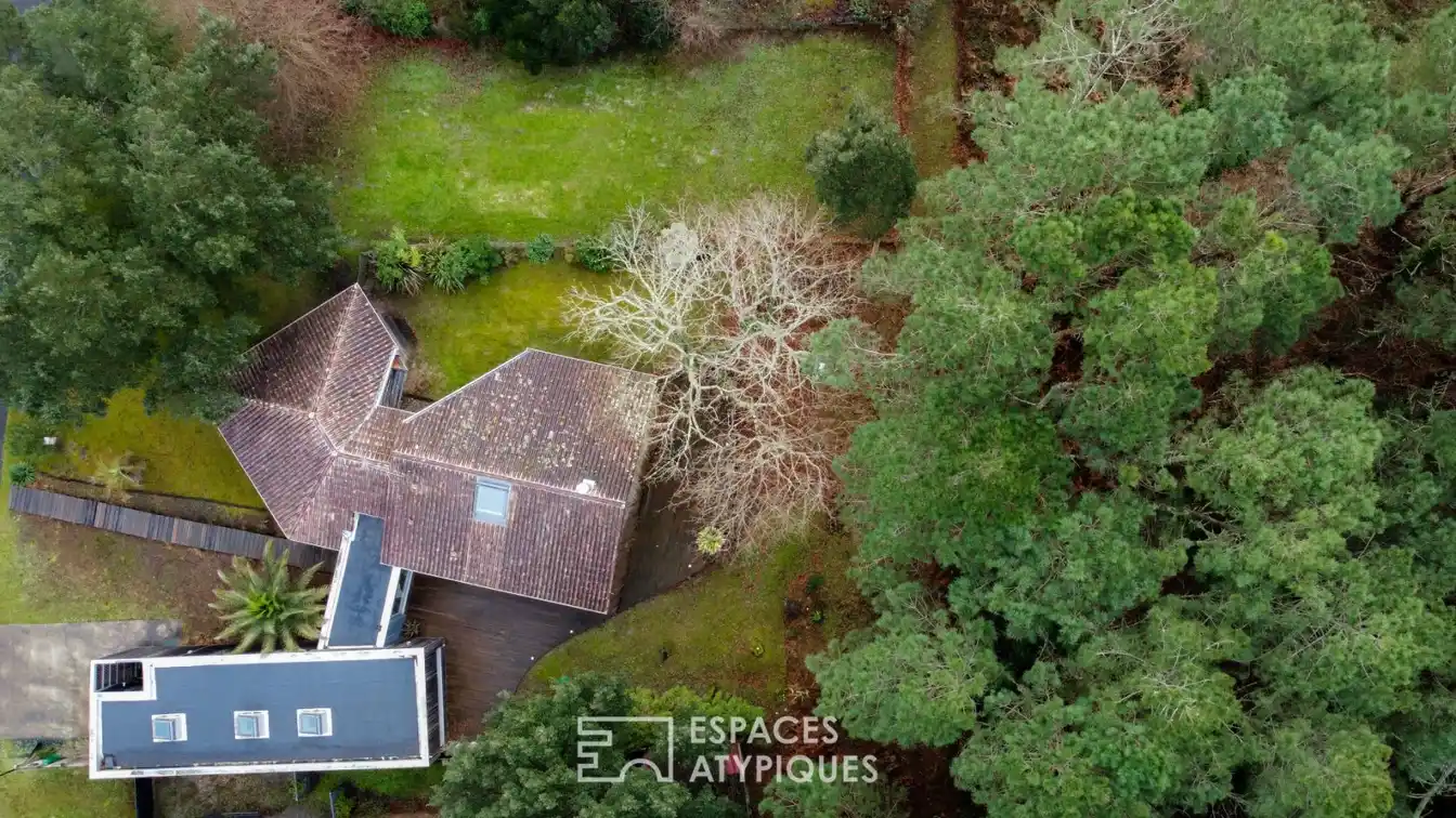 Unique Home at the Forest's Edge