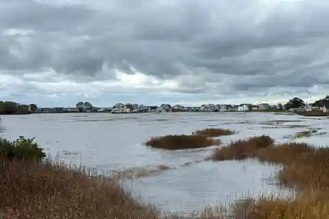 Architecturally Elegant Shoreline Home