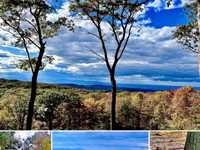 275 ACRES OF UNPARALLELED COUNTRY LIVING