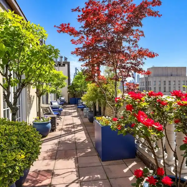 PARK AVENUE PENTHOUSE RARITY