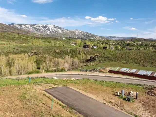 Large Image