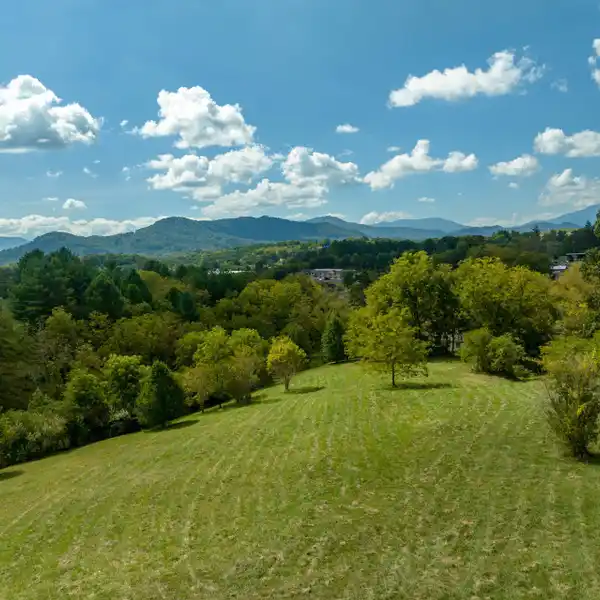 29 LUSH ACRES