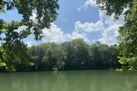 Prime Agricultural Land with Soybean Fields and River Views