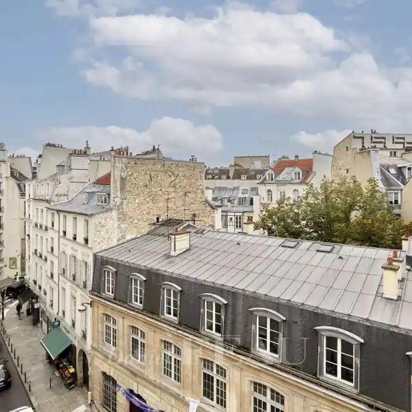 SUNNY SOUTH-FACING LIVING IN HISTORIC BUILDING