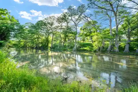 Wonderful 15.23-Acre Property