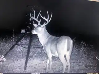 Premier Whitetail Property with Cabin Lodging