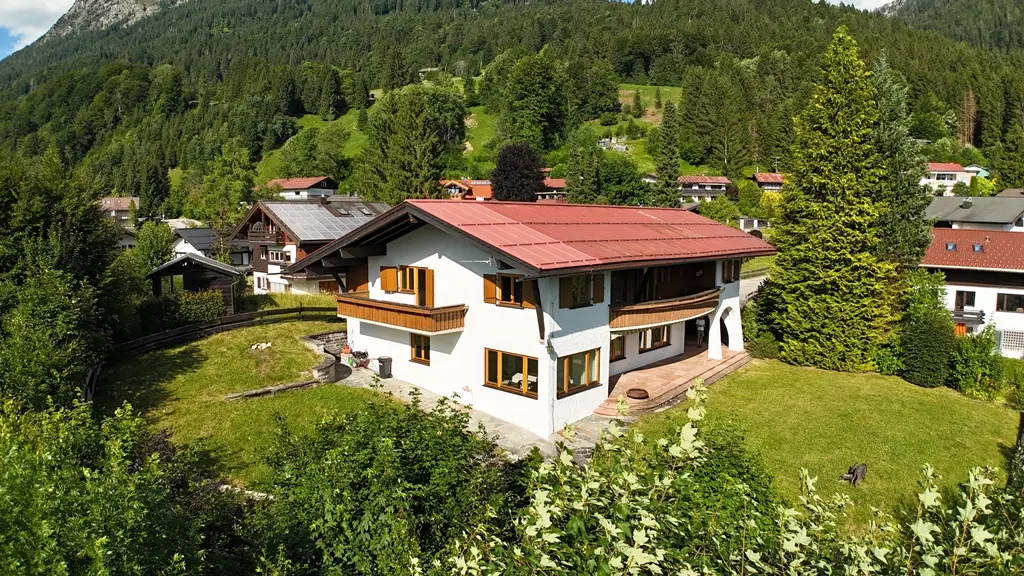 Large Image