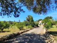 RENOVATED FINCA WITH SPECTACULAR VIEWS OF THE TRAMUNTANA MOUNTAINS