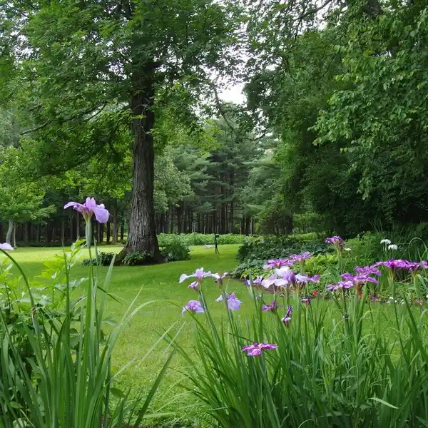 TIMELESS BEAUTY SURROUNDED BY PROTECTED NATURE