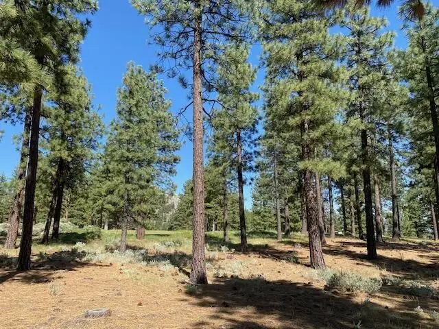 Large Image