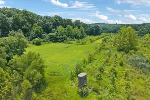 Premier Whitetail Property with Cabin Lodging
