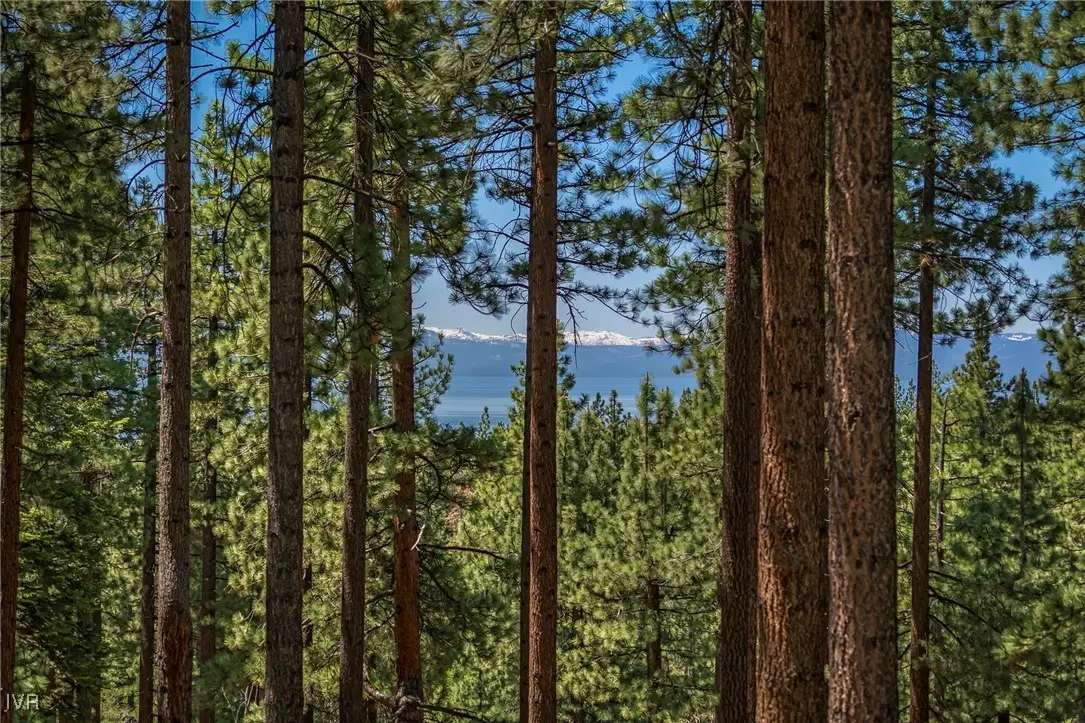 Large Image