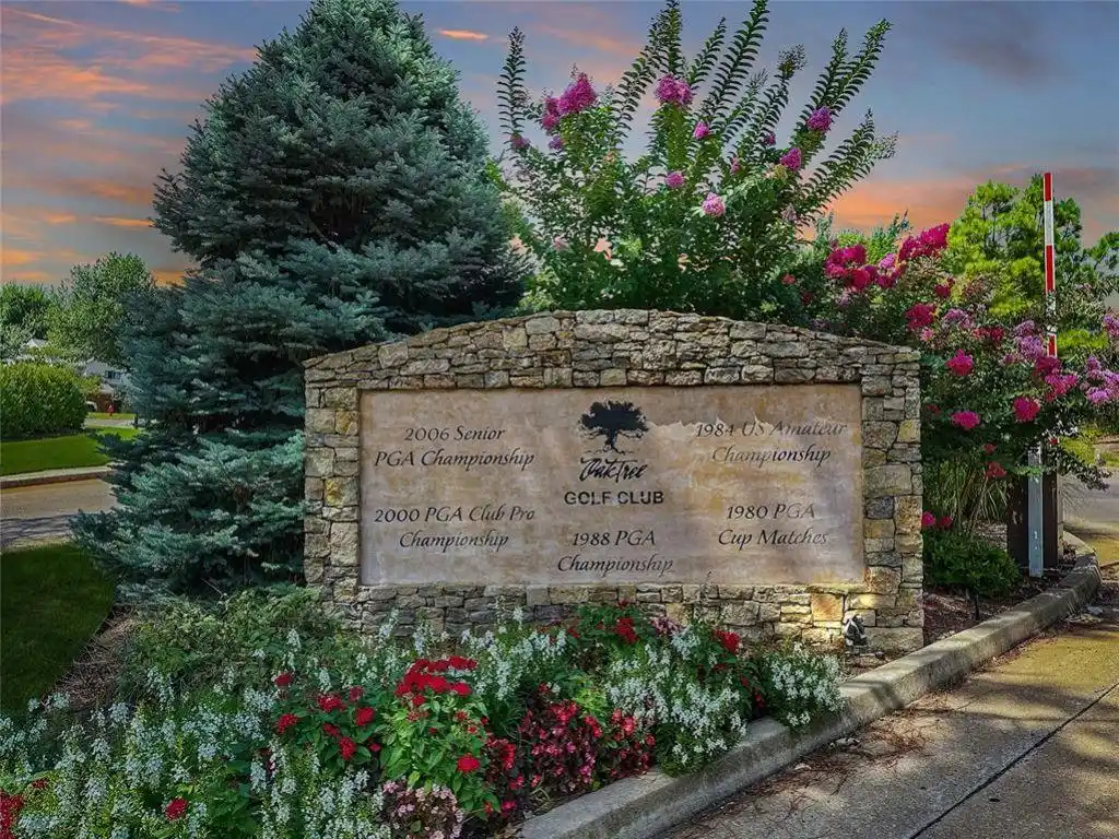 Large Image