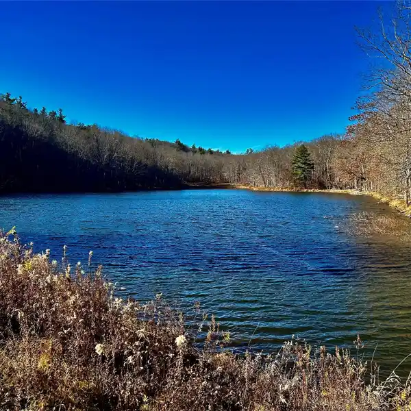 517 ACRES FOR COUNTRY LIVING